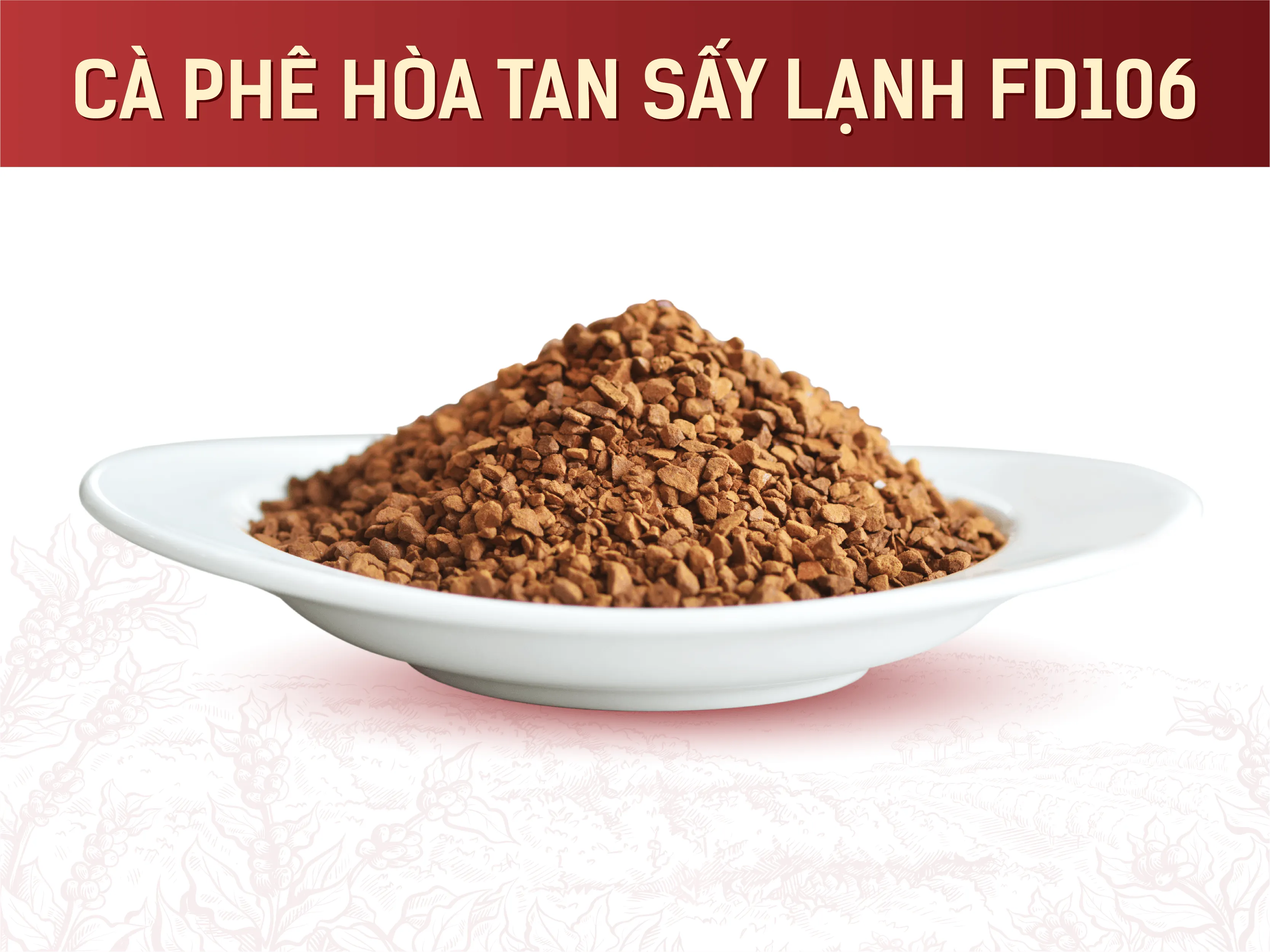 Cà phê hòa tan sấy lạnh FD106